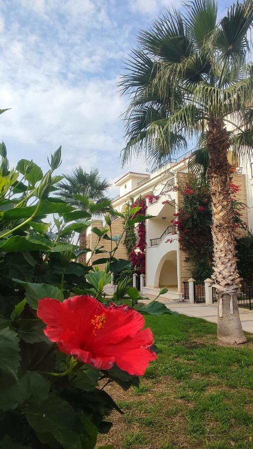 Fantastic 4 Cyprus First Line Beachfront Boghaz Exterior foto